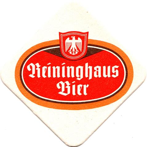 graz st-a reining raute 4-6a4b (180-reininghaus bier)
